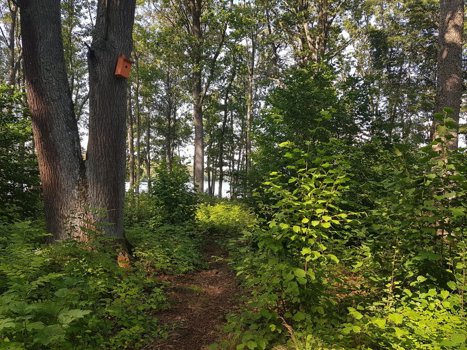 Mellan Roparudden och Harva är Upplandsleden märkt med orangeafågelholkar.