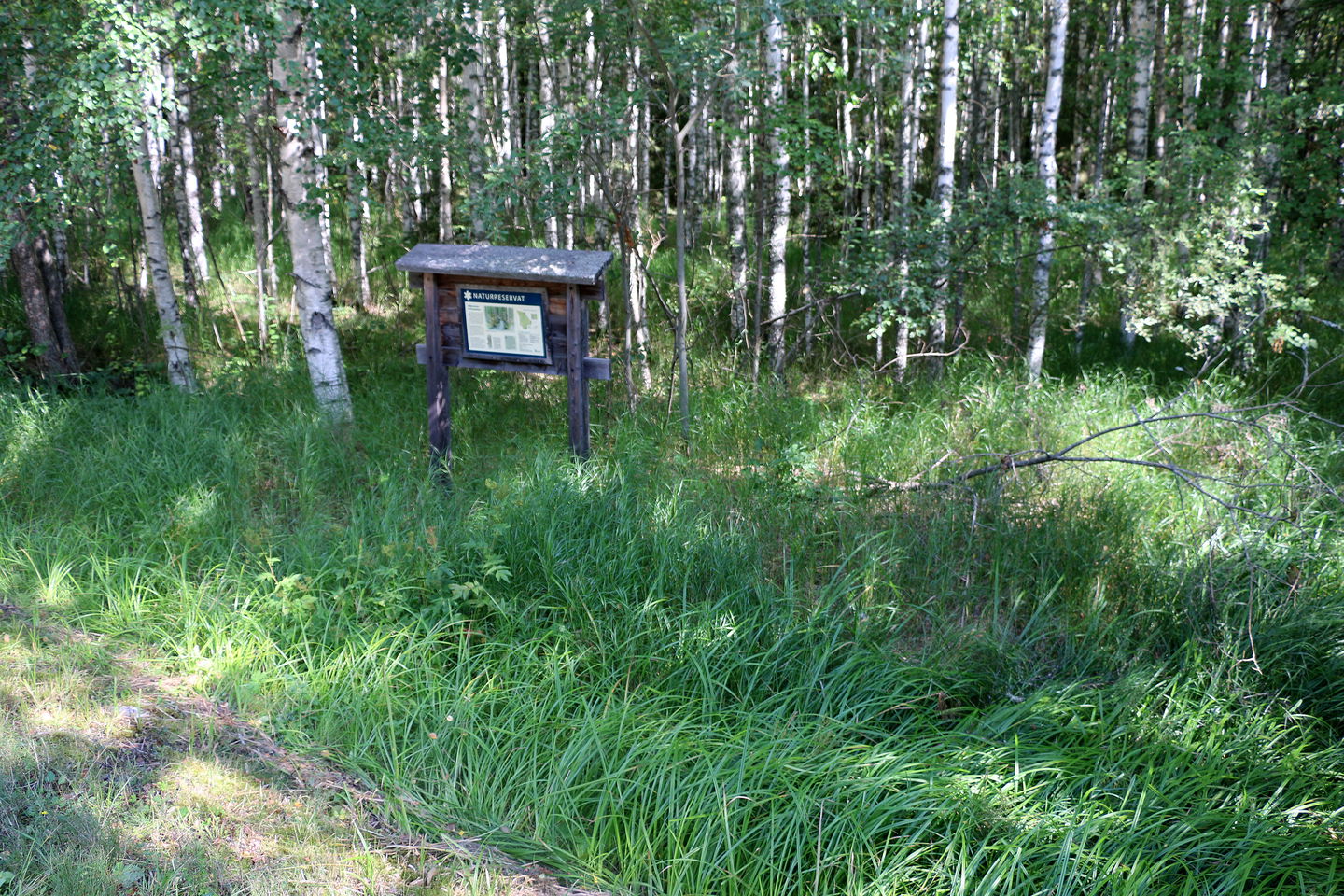 Informationstavla över naturreservatet och skog bakom skylten.