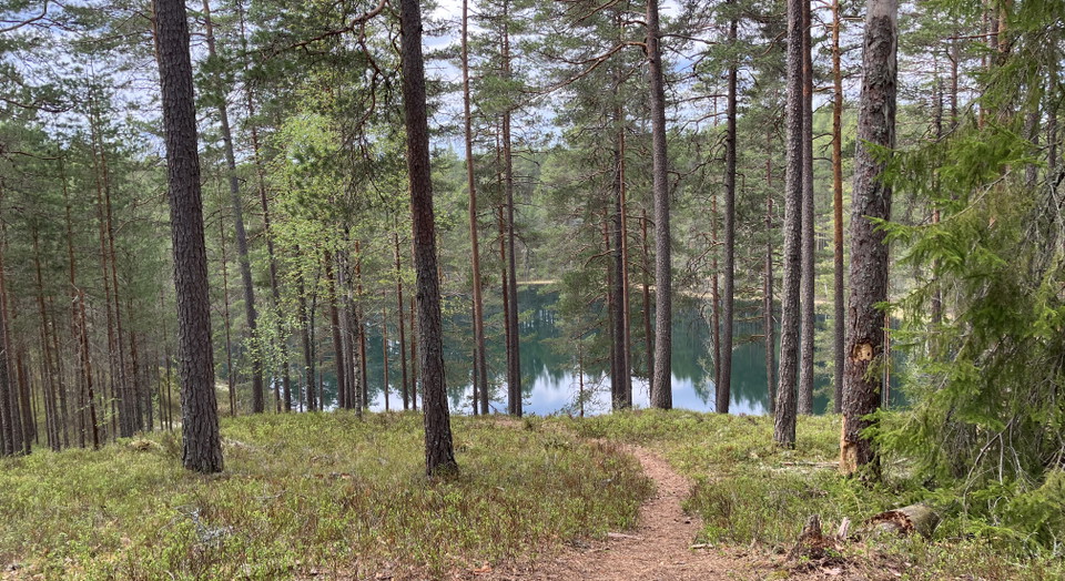 Utsikt över Sundstjärnen.