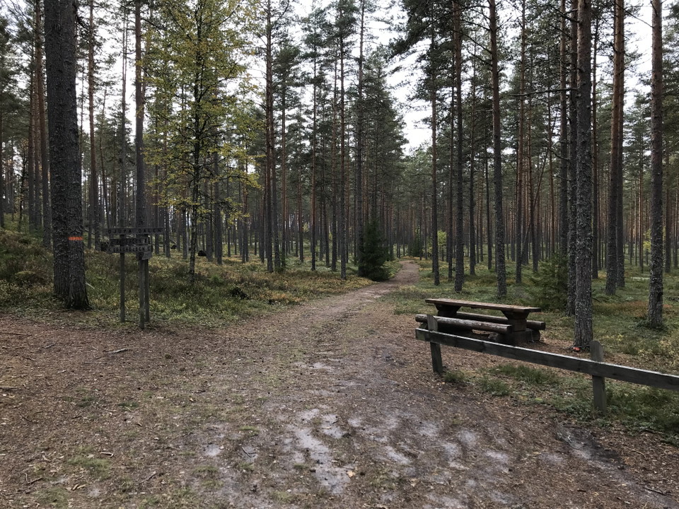 Rastbord intill parkeringen vid Djupa dalen.