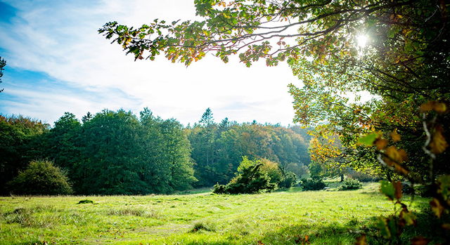 Skipås, Naturreservat