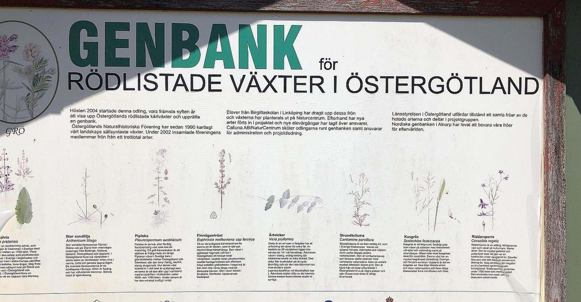 Genbanken i Linköpings Naturcentrum, Trädgårdsföreningen. 
Etapp: Berg-Trädgårdsföreningen, Trädgårdsföreningen-Gamla Linköping. 
Linköping. 