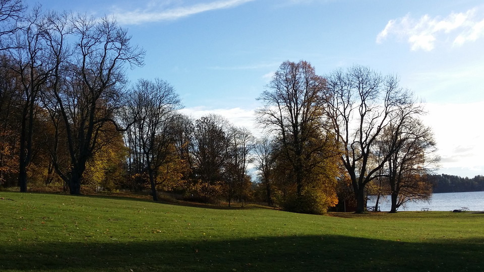 Park vid Elfviks gård.