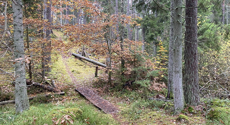 Blå vandringsled.