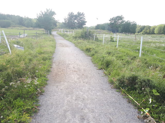 Evlinge ridstig