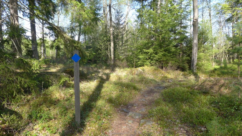 Blåmarkerad stig runt
