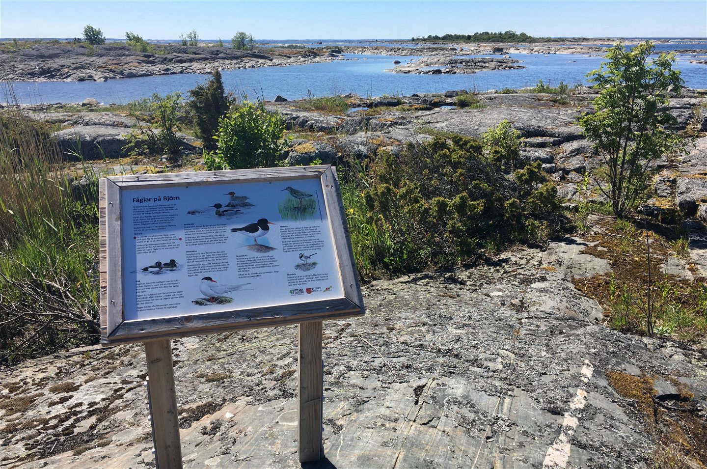 Närbild på en informationstavla som står på en stenhäll vid havet.