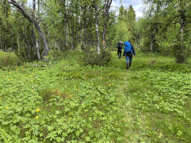Stöttingfjället Vandringsled Alsberget runt 