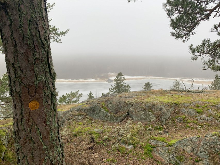 Utsikt från Höggarnsberget i Sandemars naturreservat.