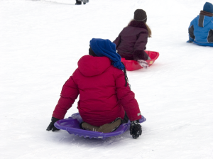 Pulkaåkning