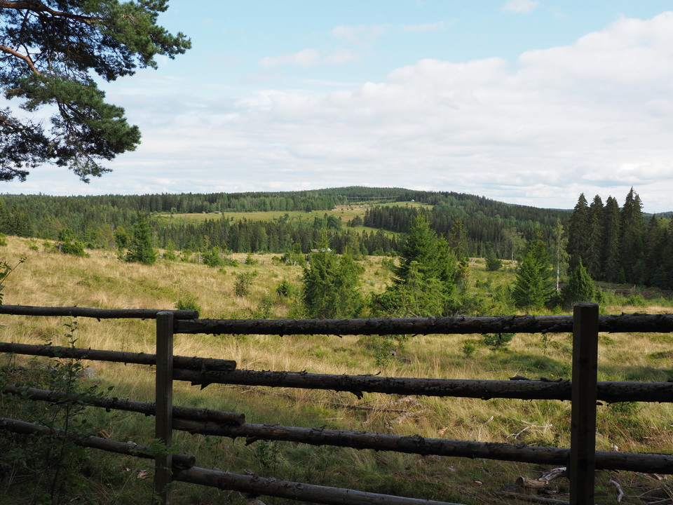 Vy mot Fallsbjörken