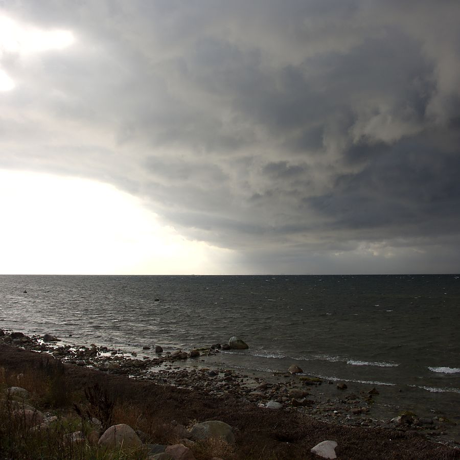 Salvikens strandängar