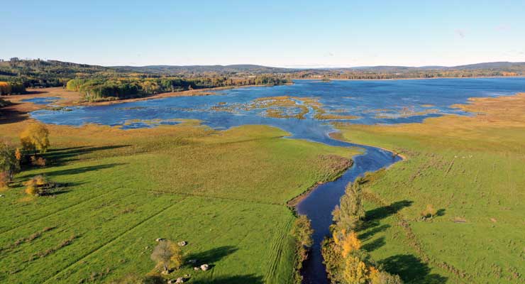 Flinesjöns fågelrika marker.
