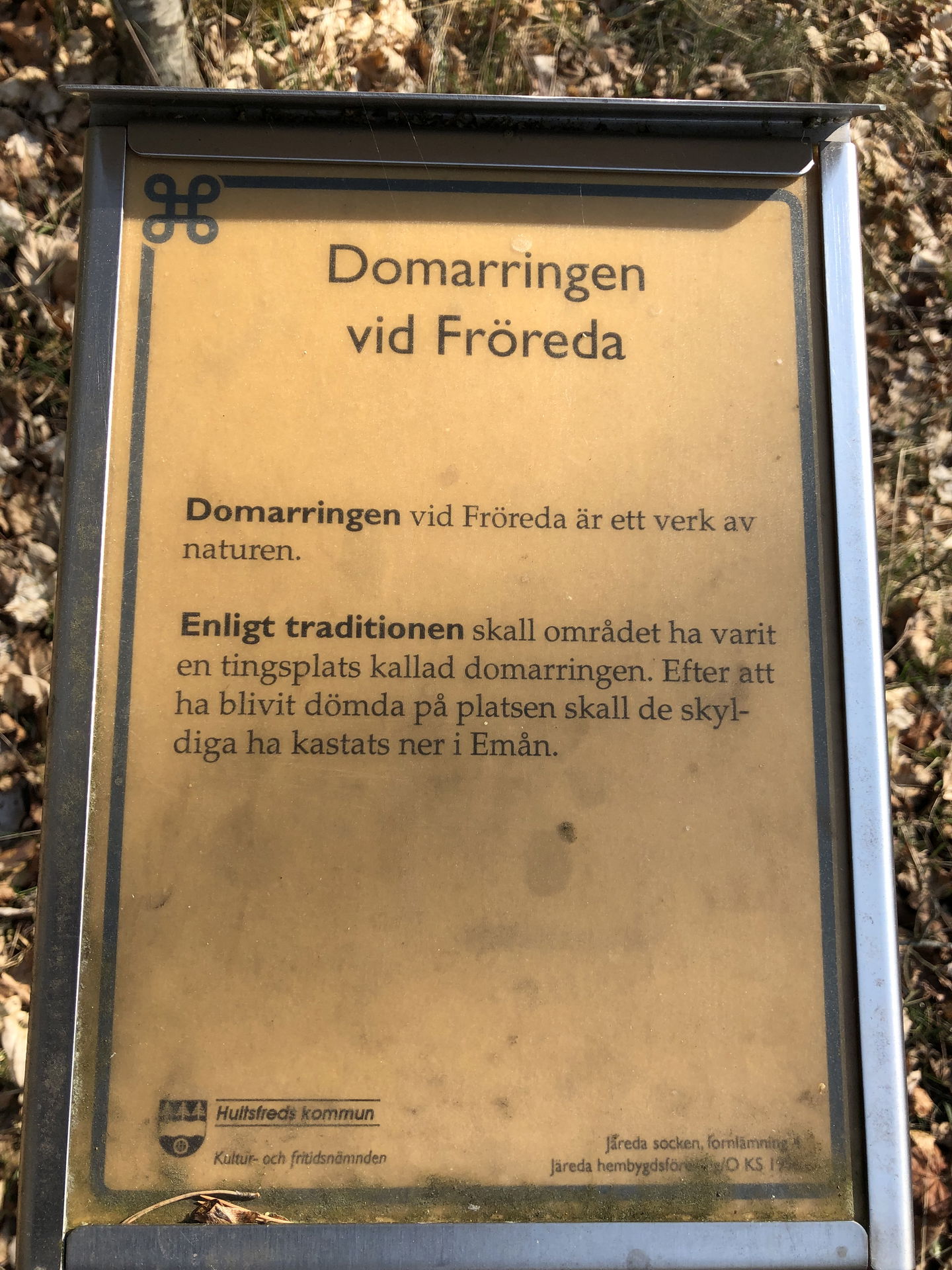 Domarring