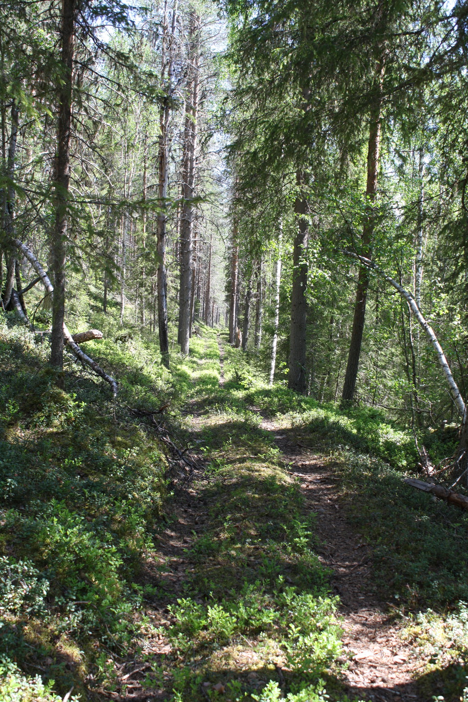 The Old biking trail