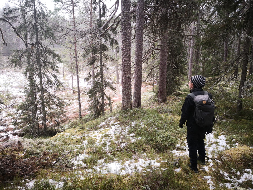 Myrmark på bergets topp
