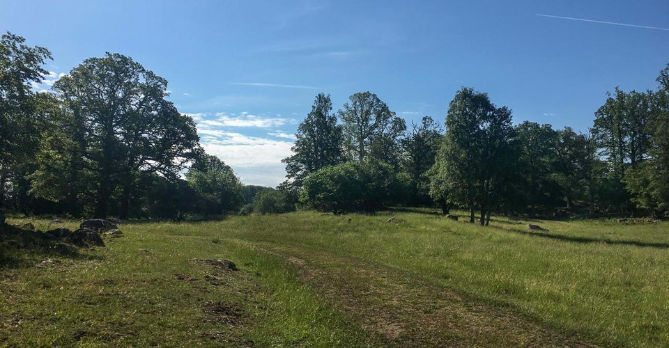 Bysjön runt.
Åtvidaberg.