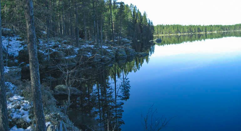 Stensjöns naturreservat.