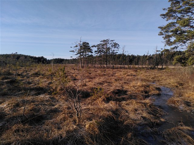 Nävsjön - Gälkhyttan, Sörmlandsleden, etapp 36:1