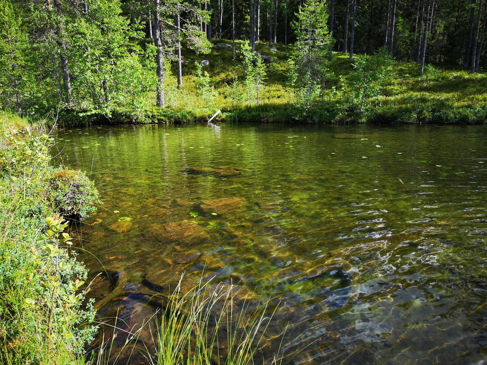 Klart vatten i Njupfatet