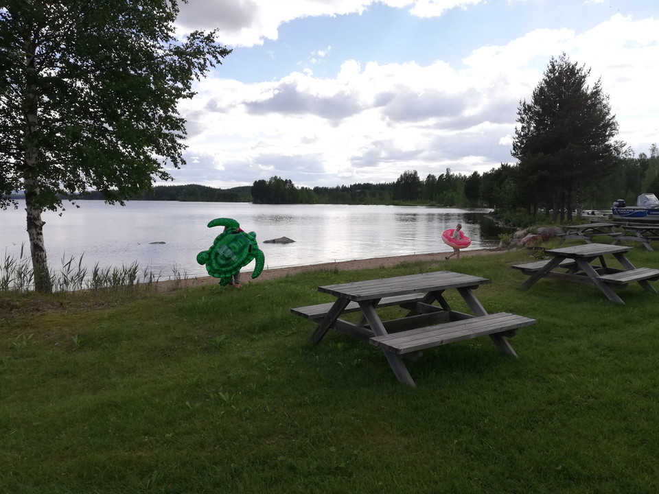 Bänkbord och gräsmatta