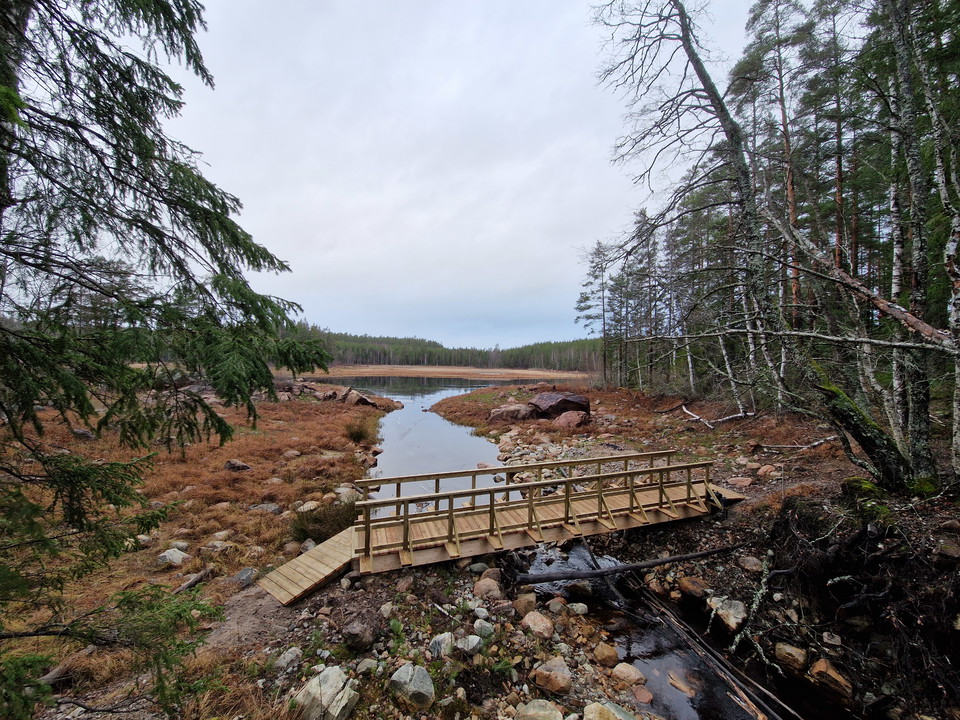 En smal träbro med räcken på båda sidor över ett vattendrag. I bakgrunden en sjö. Det är höst och få gula löv sitter kvar på grenarna.