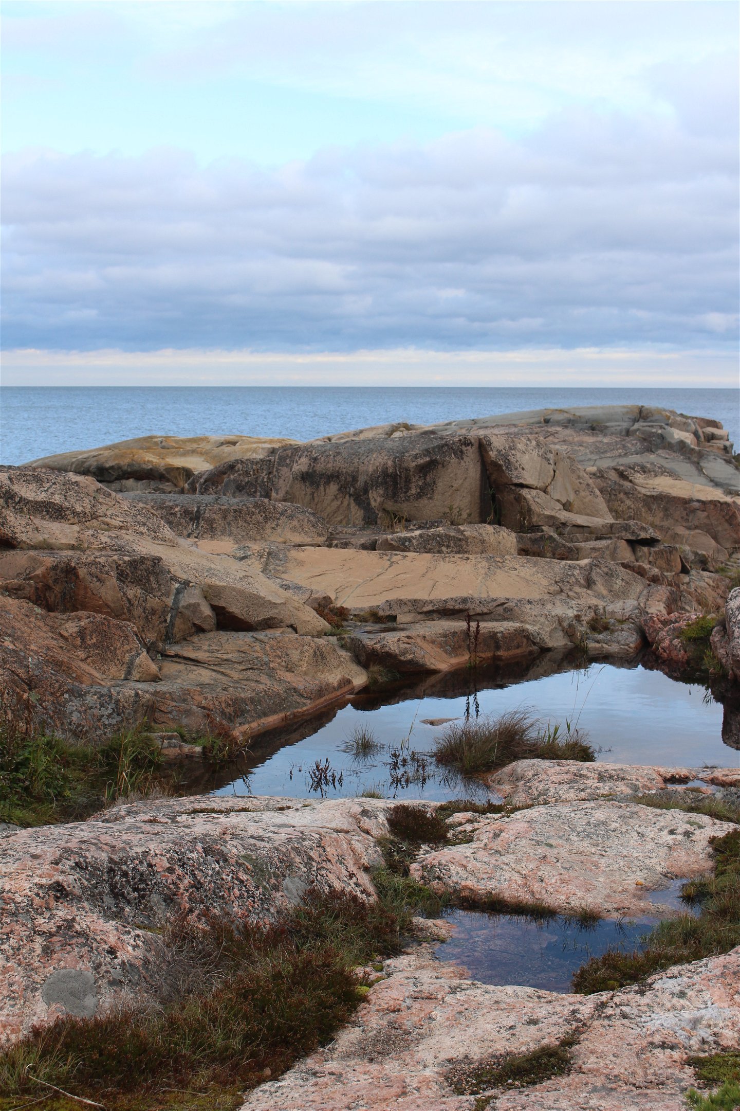 Rönnskärs udde naturreservat. Foto: Josefin Sundberg