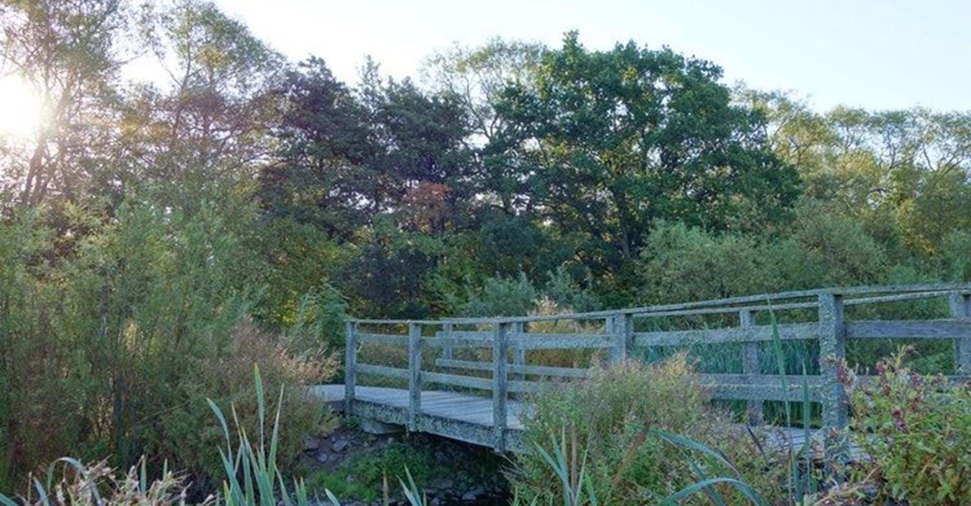 Lättframkomligt bro i området Smedstad dammar
Etapp: Djurgården-Vidingsjö
Linköping