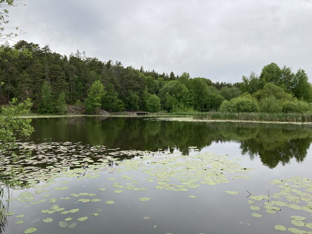 Råcksta träsk