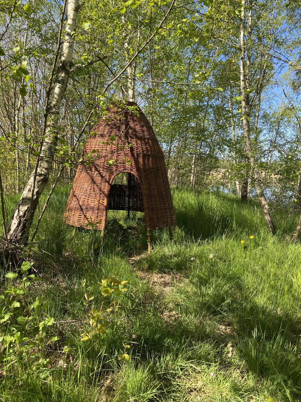 Pilkojor finns på flera platser i parken