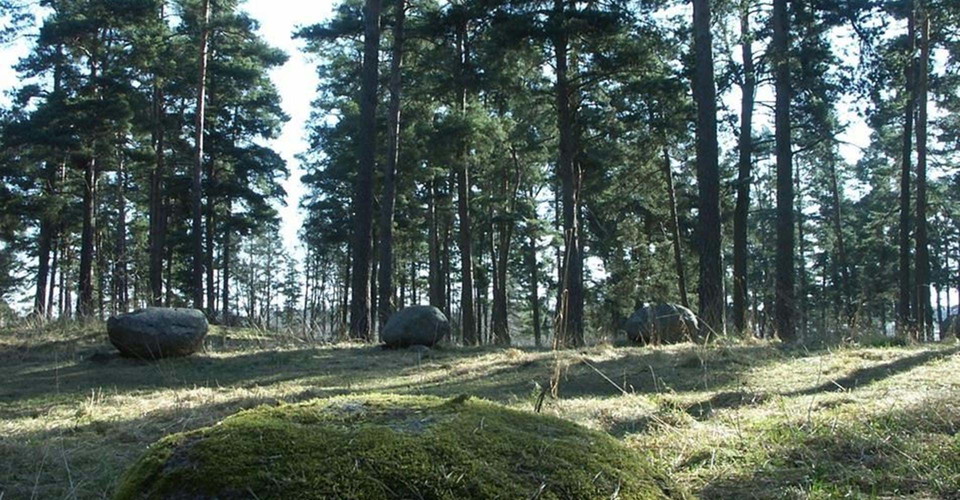 Kungshögarna, gravfält.
Etapp: Lundbyvallen - Skogssjön.
Mjölby
