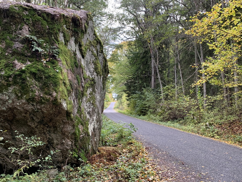 Erkenvägen går genom Hasselhorns naturreservat. 