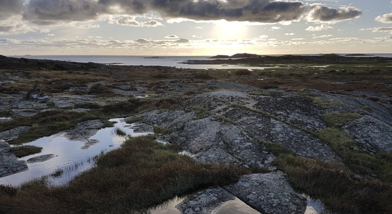 Vy över sten och vatten i en solnedgång