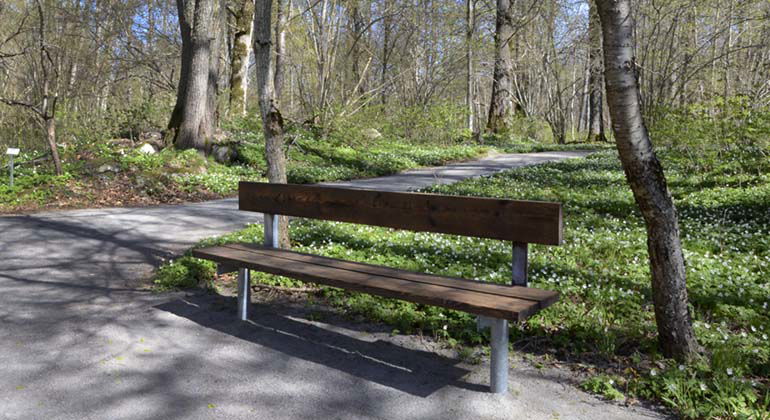 Det finns flera sittbänkar och rastbord i Trystorps ekäng.