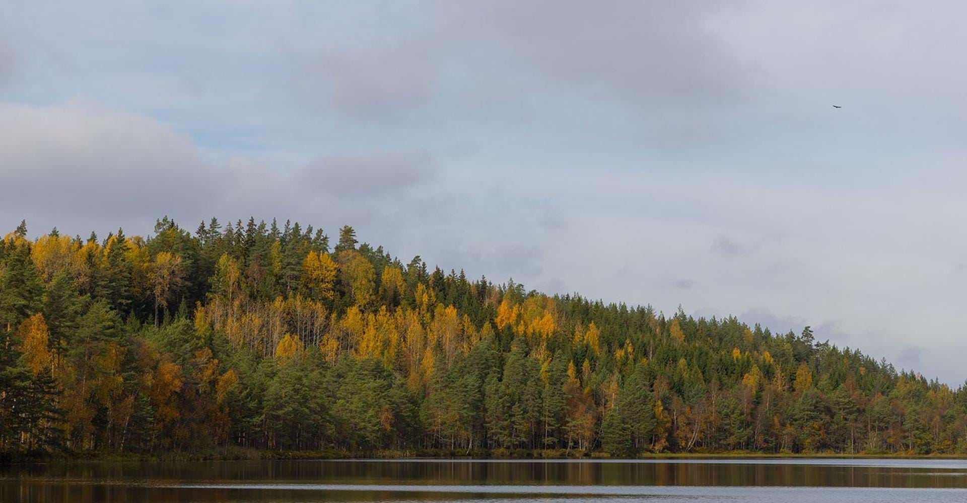 Gransbo rundslinga, Östgötaleden