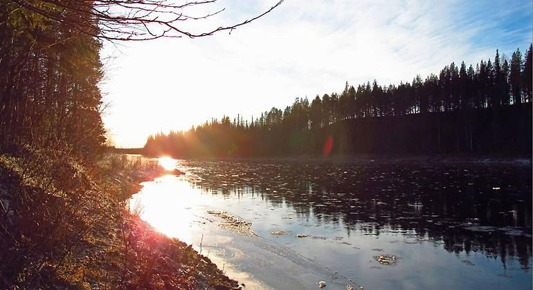 Solen lyser svagt på ett frostigt och isigt reservat.
