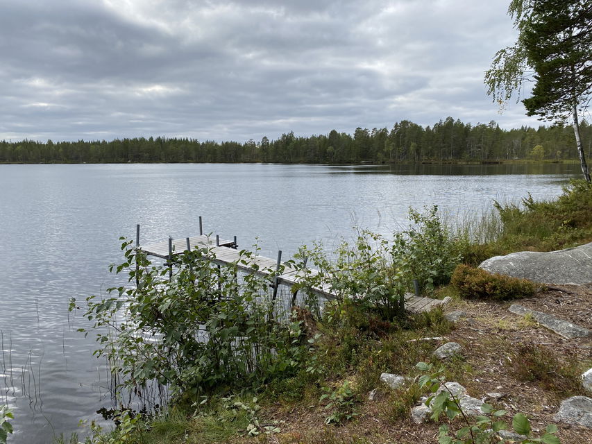 En smal träbrygga i en sjö. 
