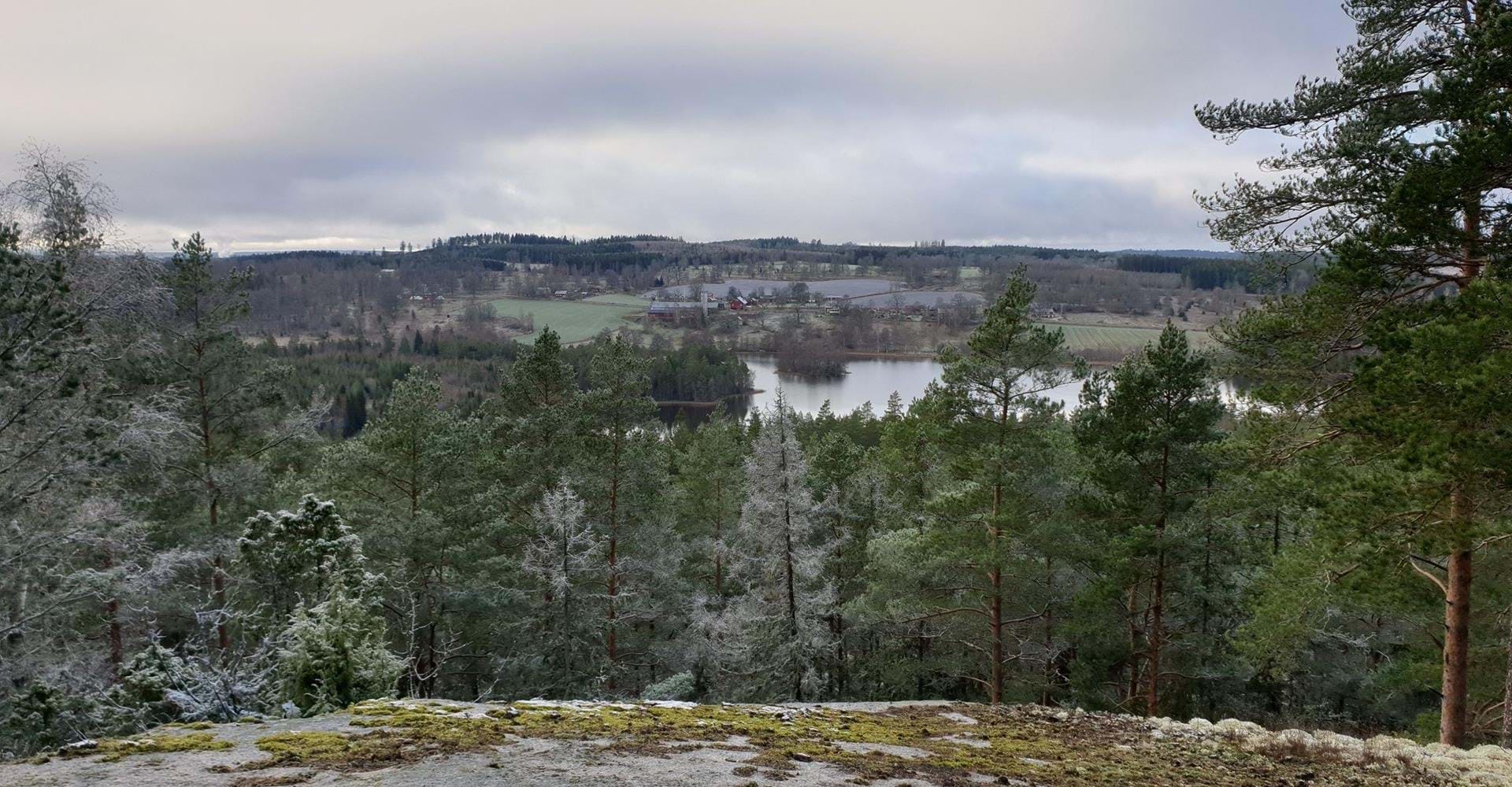 Utsikt från SelobergRundslinga Seloberg och Skams gatorYdre