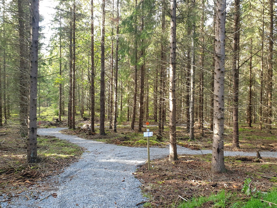 Cykelled (1) - Sträva Aktivitetsområde