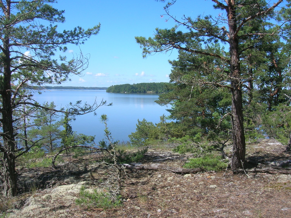 Från en höjd har man utsikt över skog och vatten.