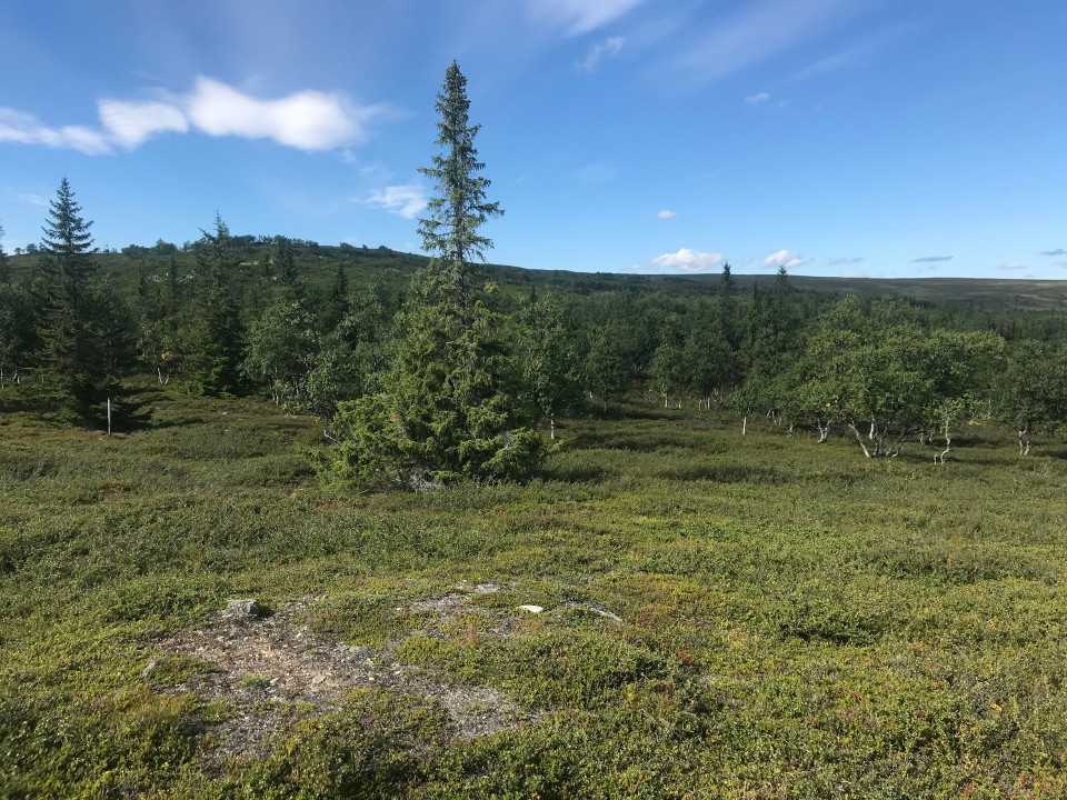 Fjäll nedanför Valskaftet