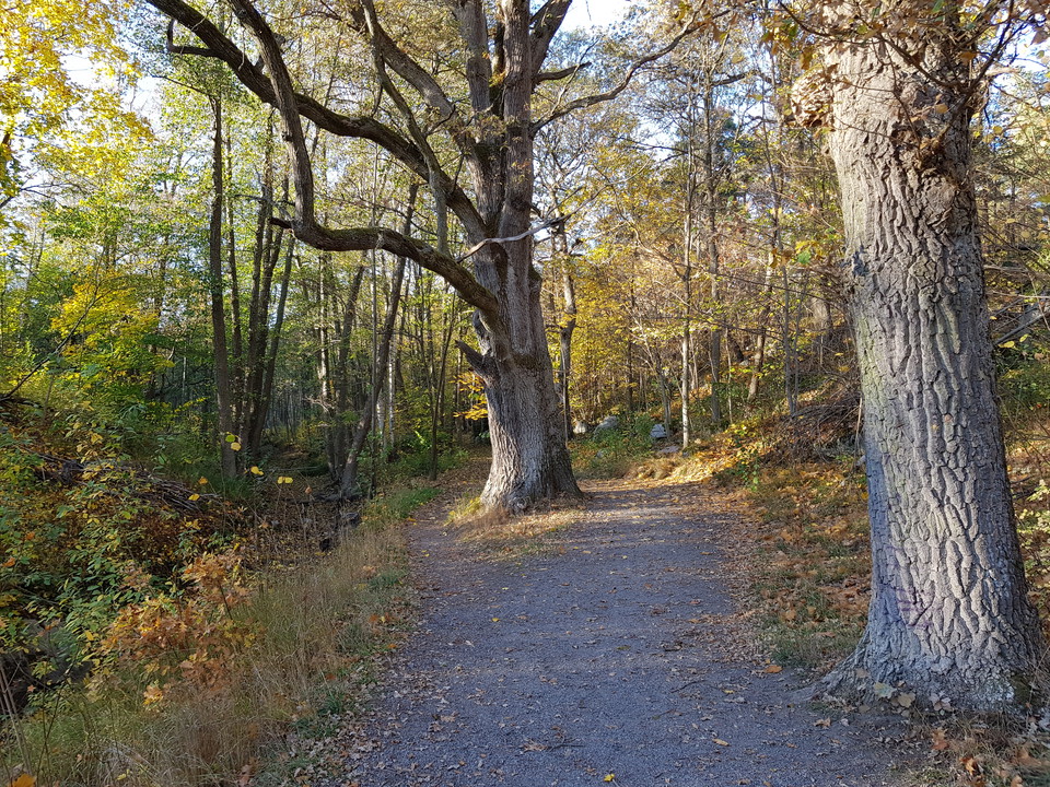 Stigen vid Kottlasjöns södra vik. Foto Lidingö stad