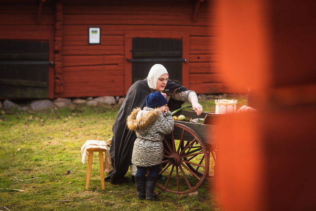 Västerviks Museum