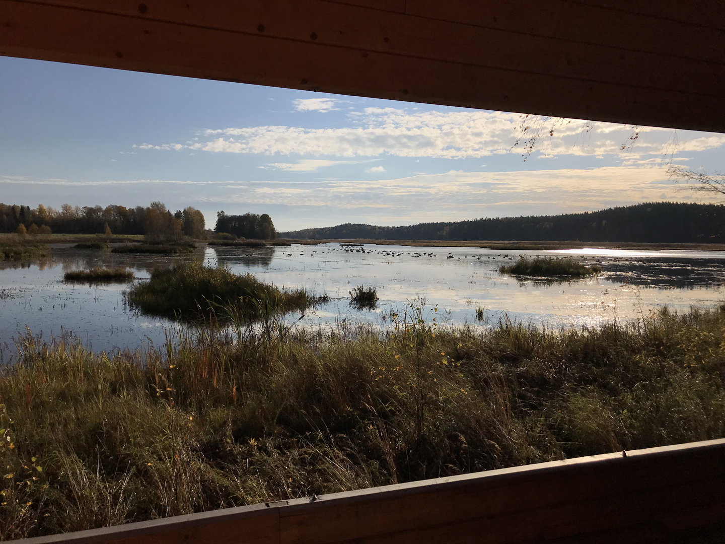 Ålsjön naturreservat