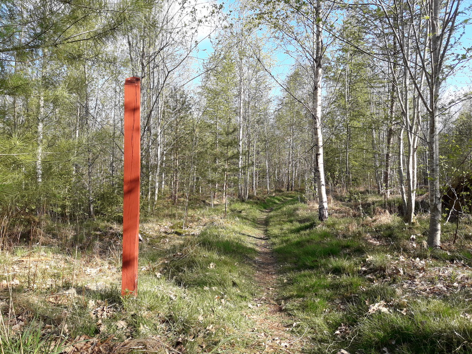 Stigen hit