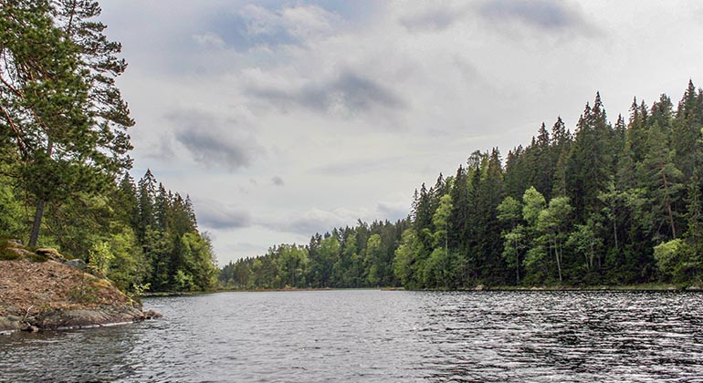 Sundsjömarken.
