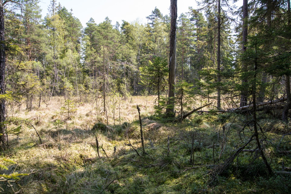 Fotograf: Tobias Ivarsson