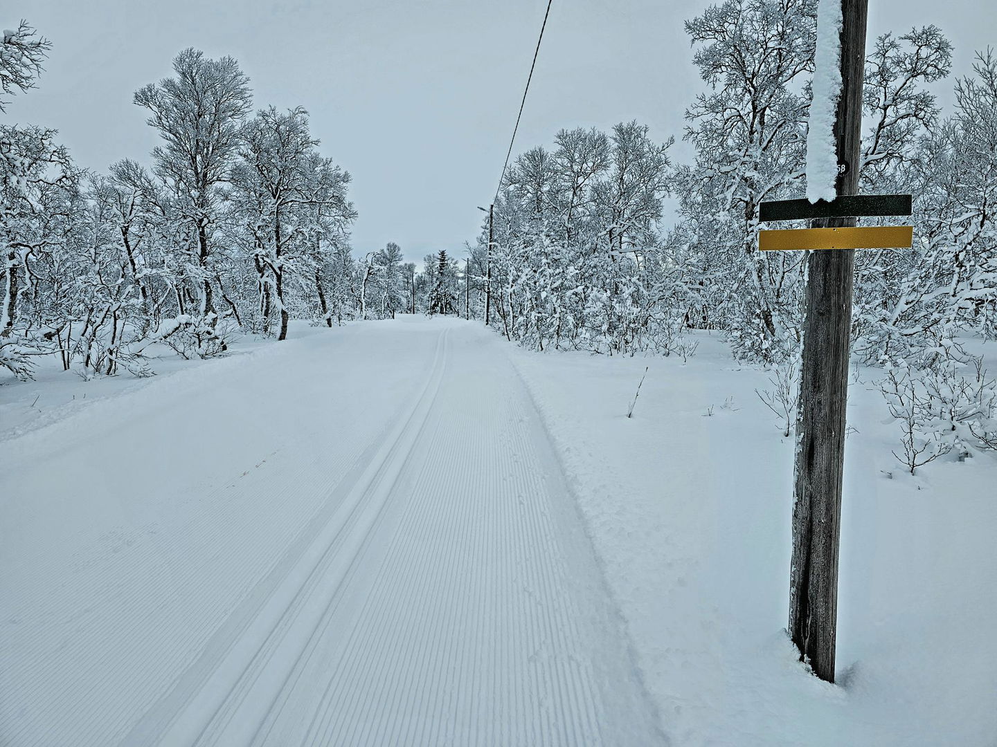 Grön och gul skylt uppsatt på en elstolpe bredvid ett längdspår