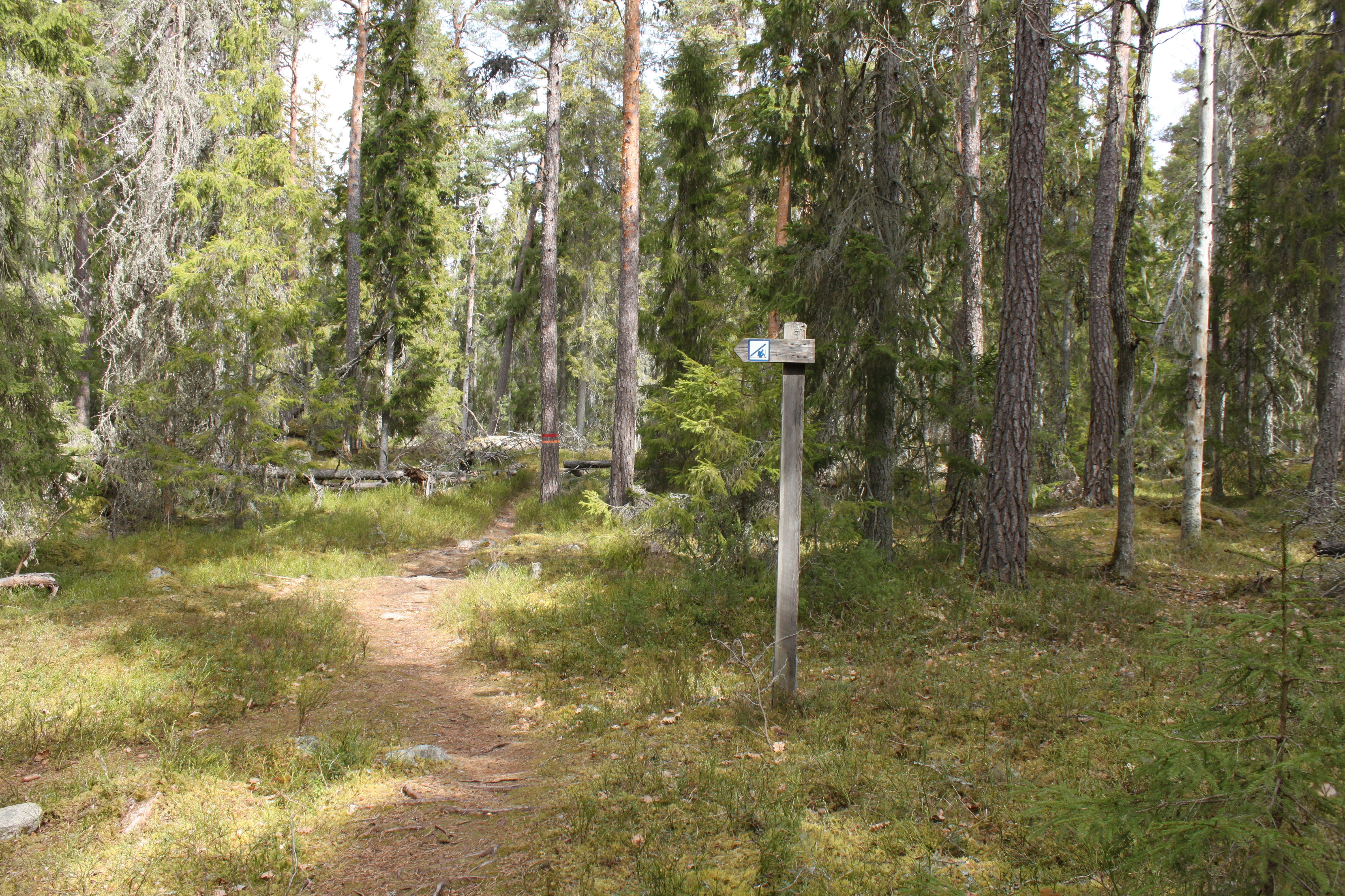 En smal stig går genom skogen. Vid stigen finns en vägvisare med symbol för vindskydd, som pekar åt vänster. Längre fram syns stigmarkeringar på en trädstam.