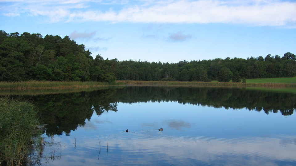 Gråviken fågelskyddsområde. Foto Lidingö stad